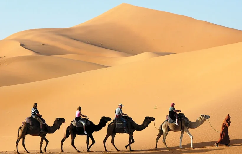Camel Caravan